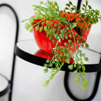 Kuro Spiegel met Plank – Ovaal (S)