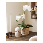 Sora Tafellamp – Aulla Grijs LED