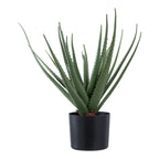 Lina Aloë Vera Kunstplant – Groen (51 cm)