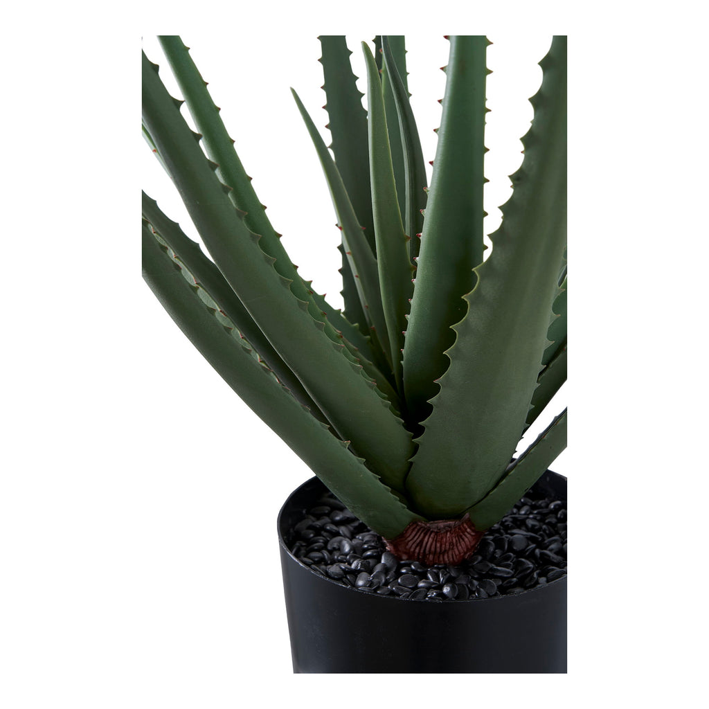 Lina Aloë Vera Kunstplant – Groen (51 cm)