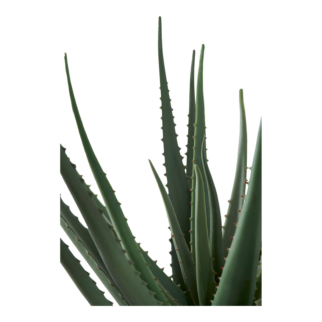 Lina Aloë Vera Kunstplant – Groen (51 cm)