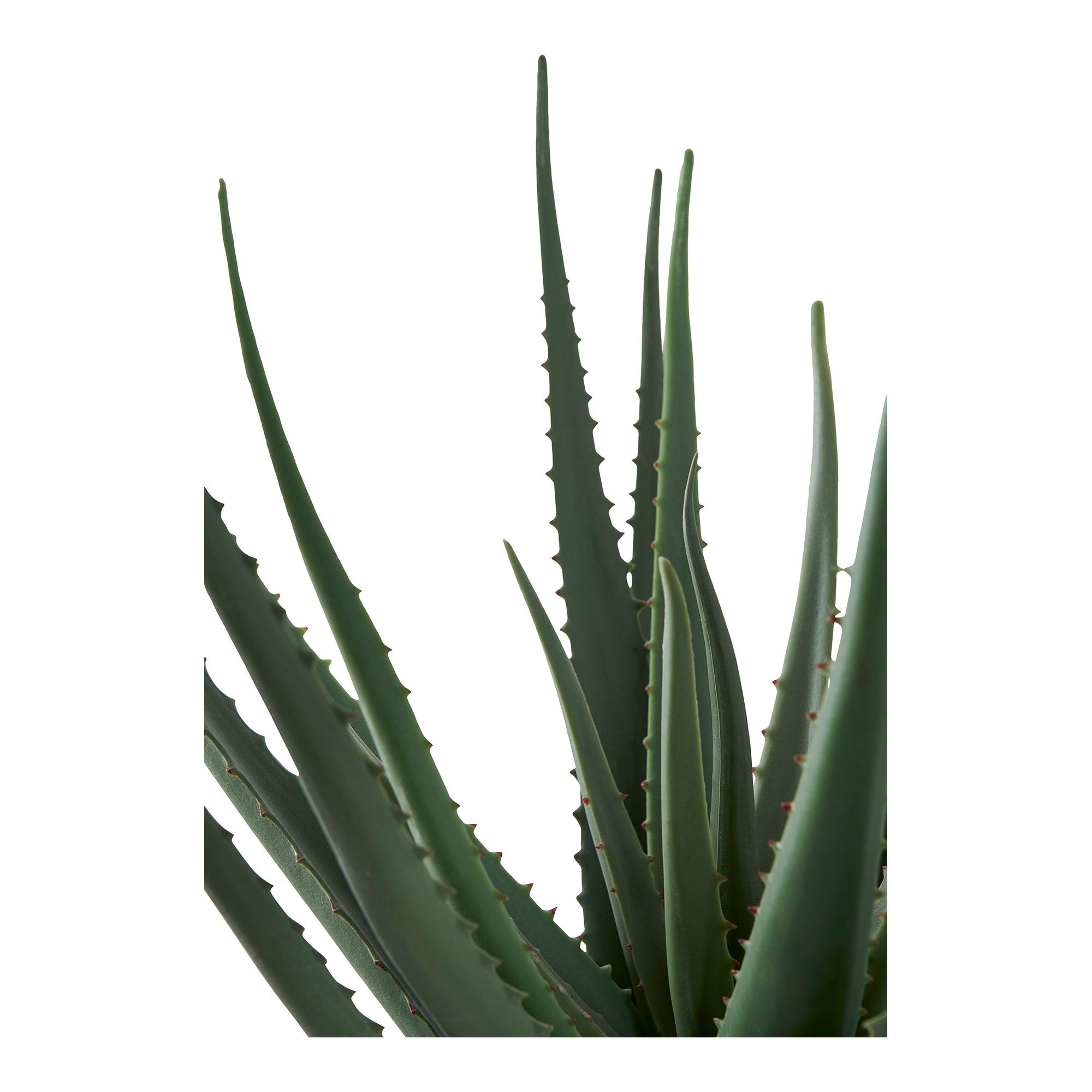 Lina Aloë Vera Kunstplant – Groen (51 cm)