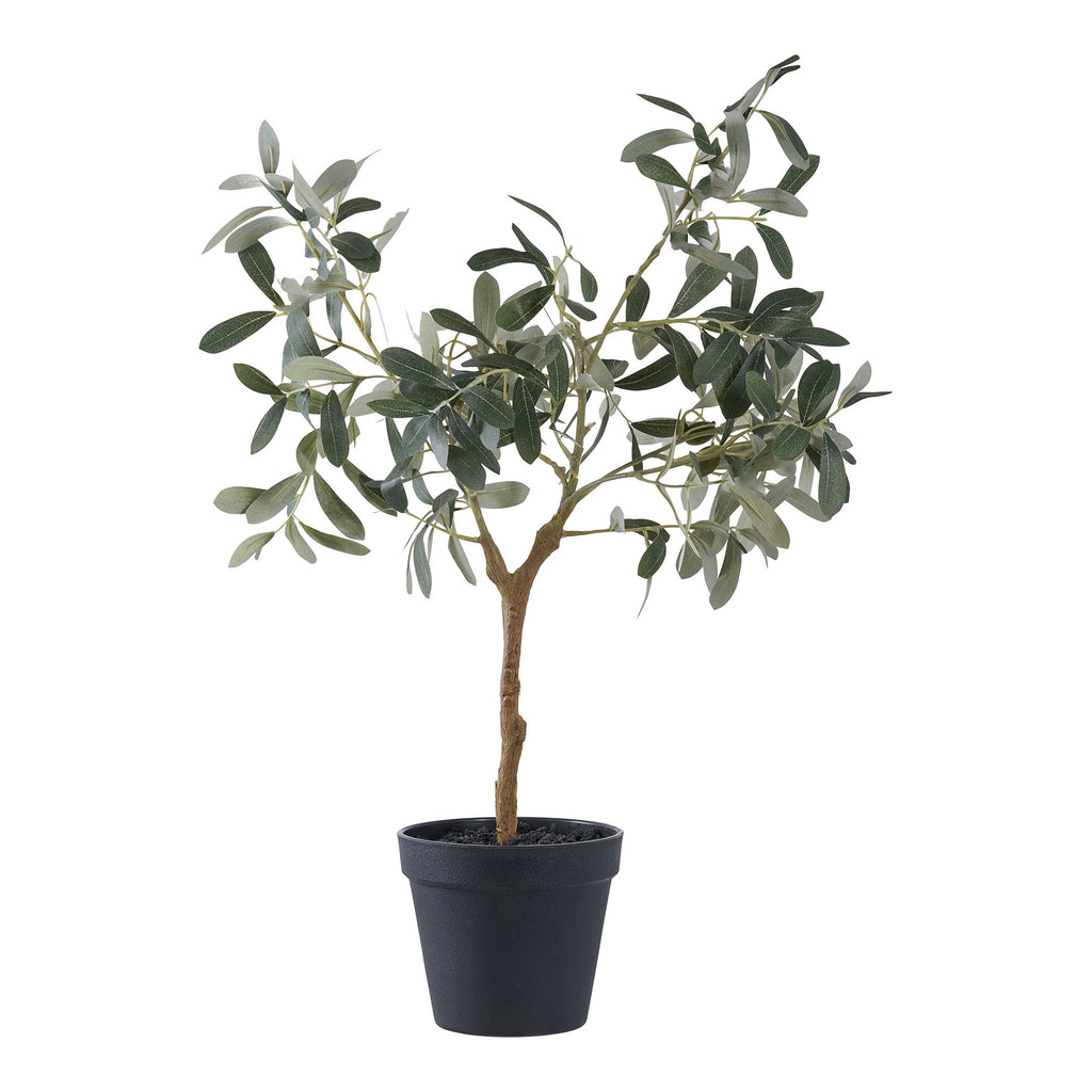 Sora Olijfboom Kunstplant – Groen (61 cm)