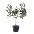 Sora Olijfboom Kunstplant – Groen (61 cm)