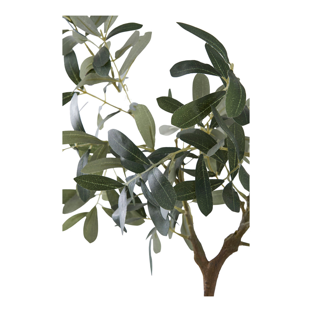 Sora Olijfboom Kunstplant – Groen (61 cm)