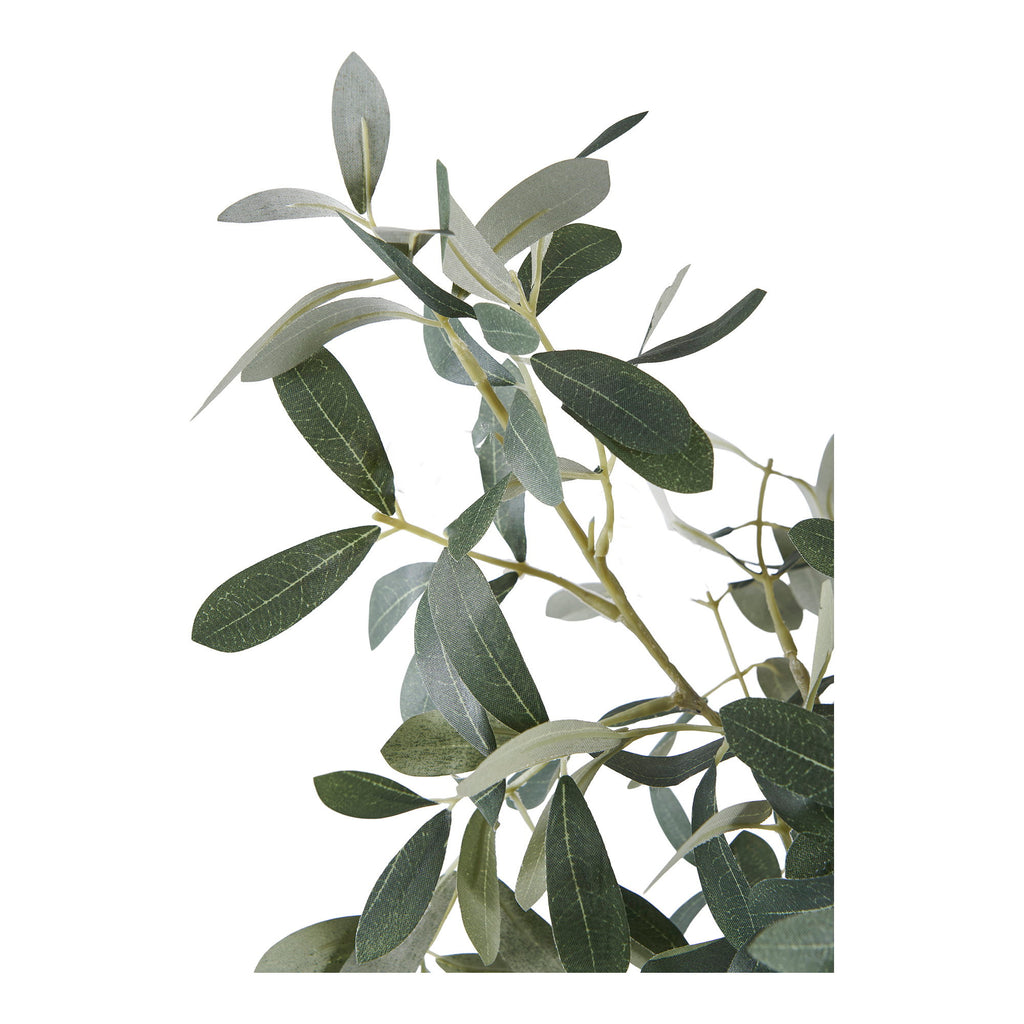 Sora Olijfboom Kunstplant – Groen (61 cm)
