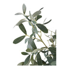 Sora Olijfboom Kunstplant – Groen (61 cm)