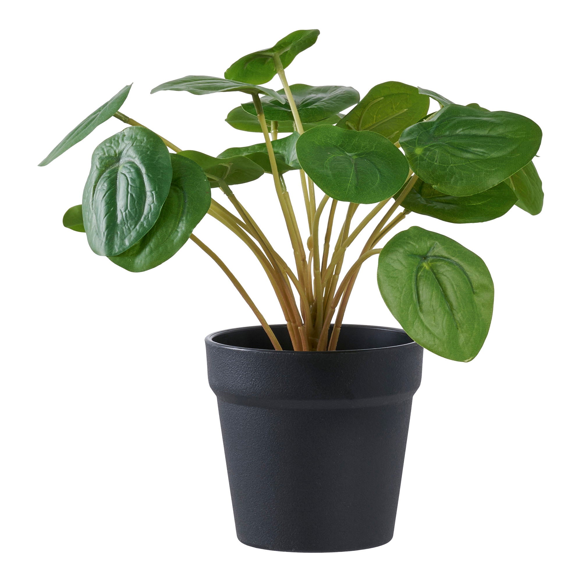 Lina Pilea Kunstplant – Groen (28 cm)