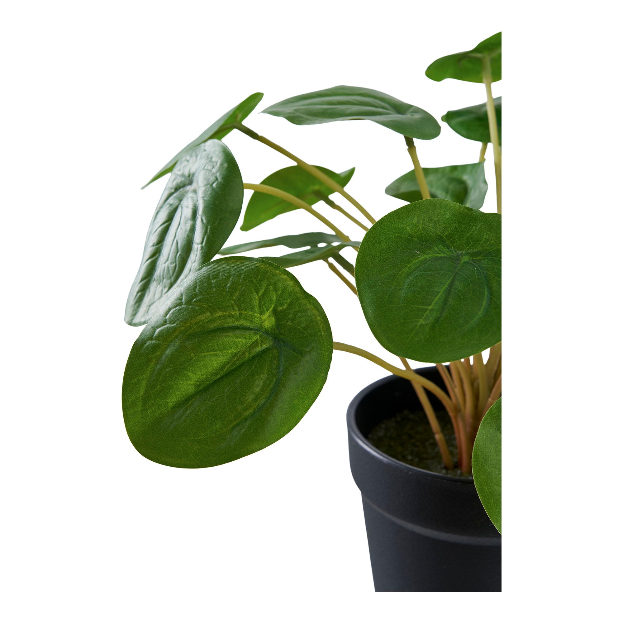 Lina Pilea Kunstplant – Groen (28 cm)