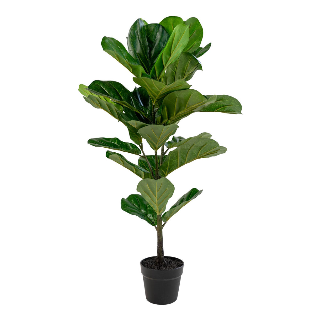Sora Vioolbladplant Kunstplant – Groen (100 cm)