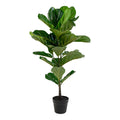 Sora Vioolbladplant Kunstplant – Groen (100 cm)