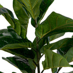 Sora Vioolbladplant Kunstplant – Groen (100 cm)