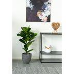 Sora Vioolbladplant Kunstplant – Groen (100 cm)