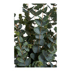 Sora Eucalyptus Kunstboom – Groen (120 cm)