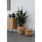 Sora Eucalyptus Kunstboom – Groen (120 cm)