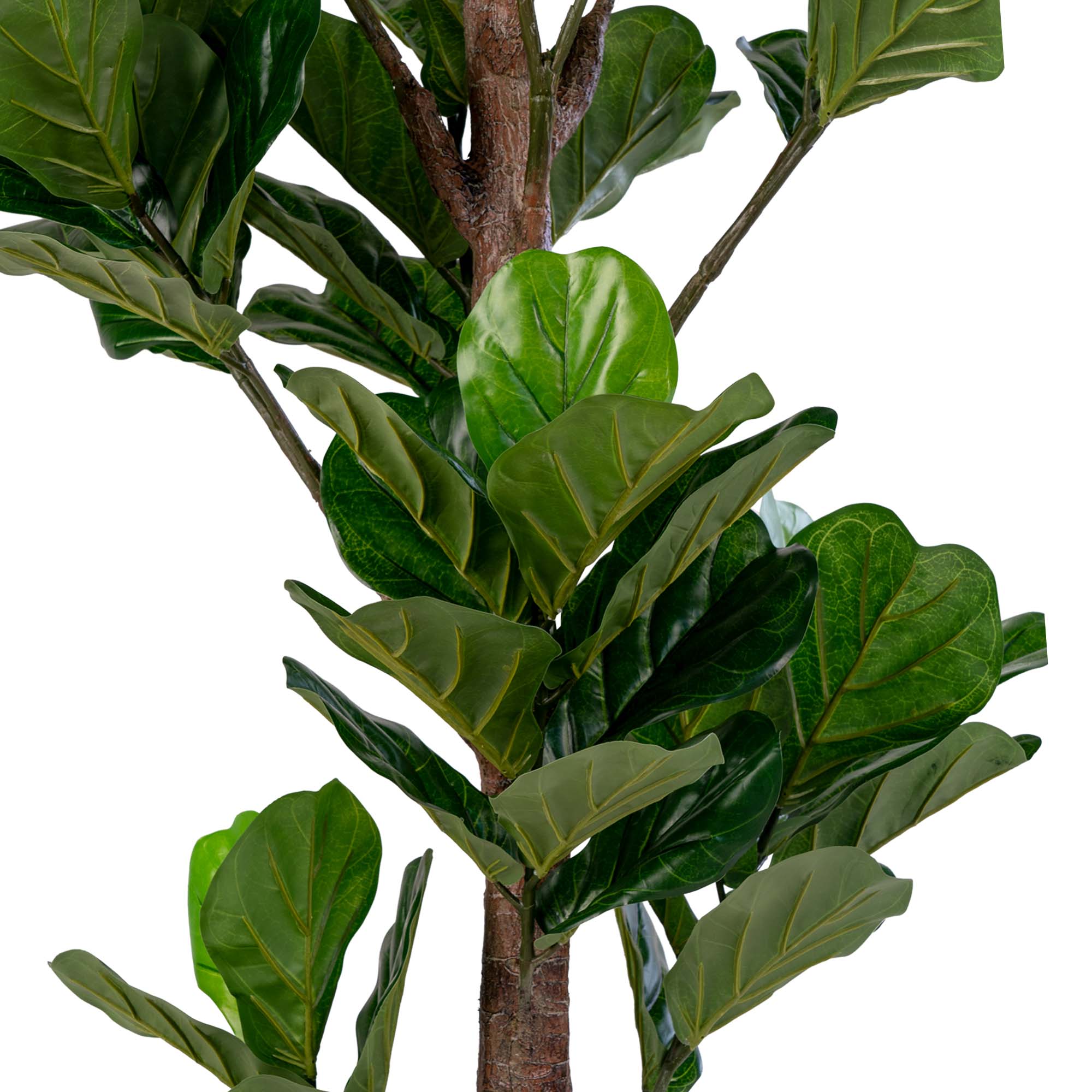 Sora Vioolbladplant Kunstboom – Groen (190 cm)