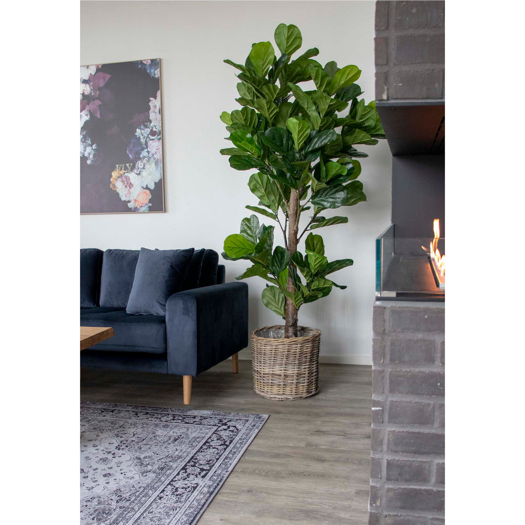 Sora Vioolbladplant Kunstboom – Groen (190 cm)