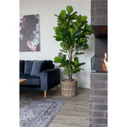 Sora Vioolbladplant Kunstboom – Groen (190 cm)