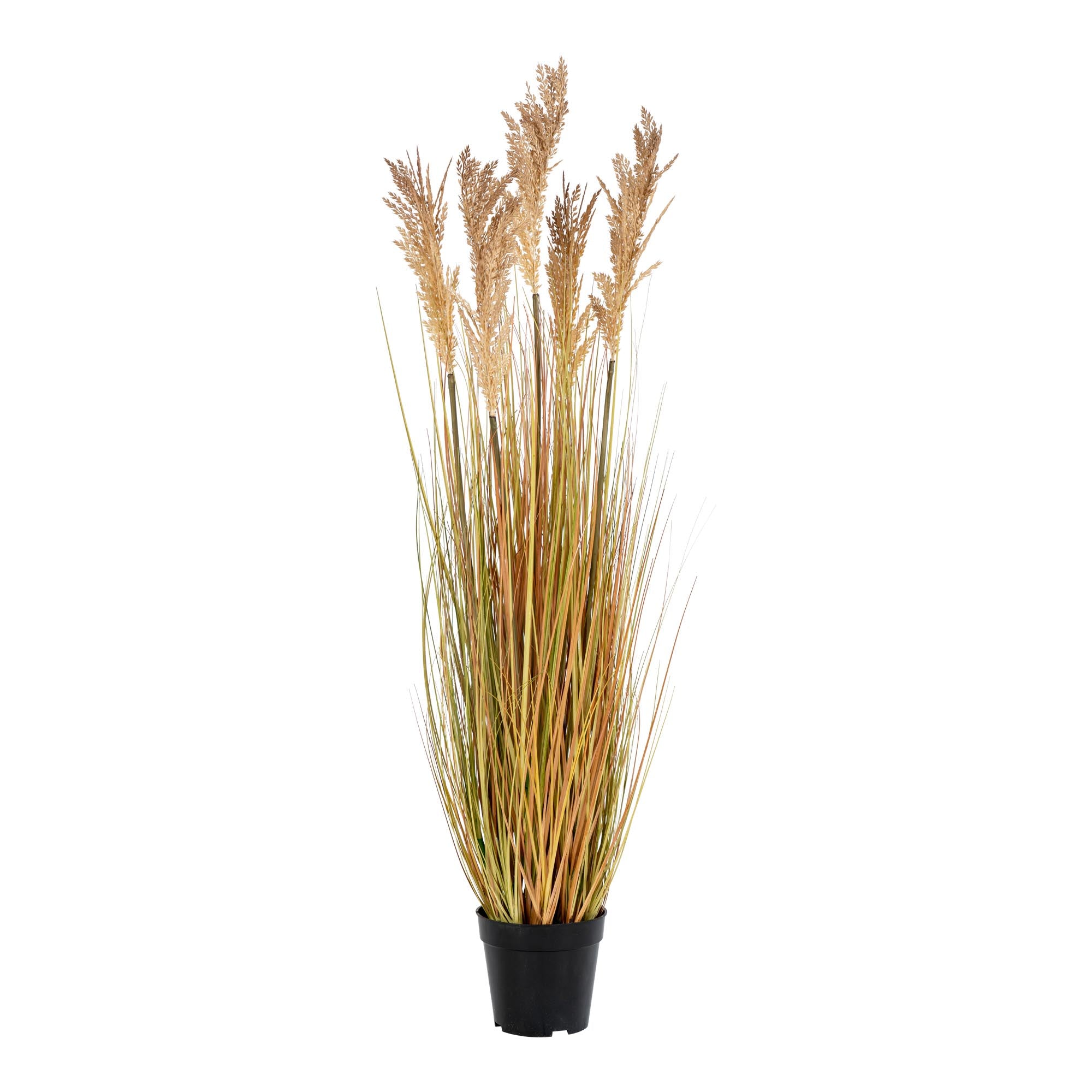 Sora Sorghum Gras Kunstplant – Naturel (110 cm)