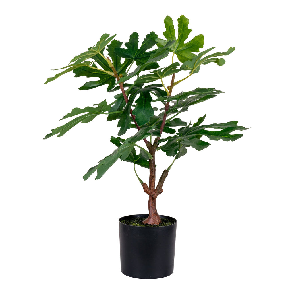Sora Vijgenboom Kunstplant – Groen (60 cm)