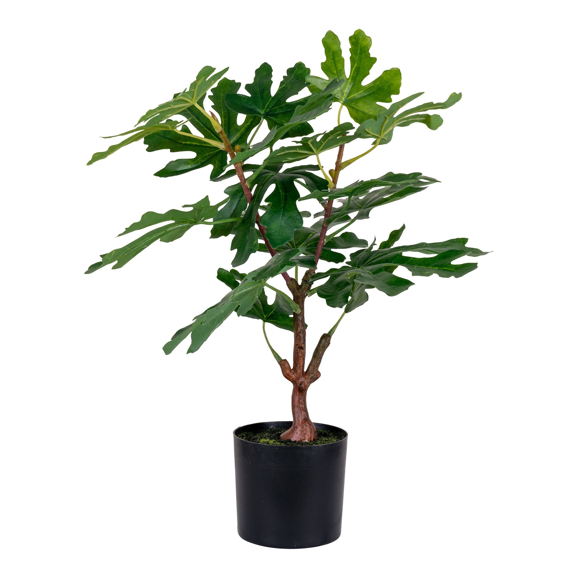 Sora Vijgenboom Kunstplant – Groen (60 cm)