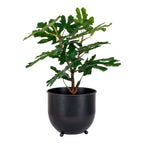 Sora Vijgenboom Kunstplant – Groen (60 cm)