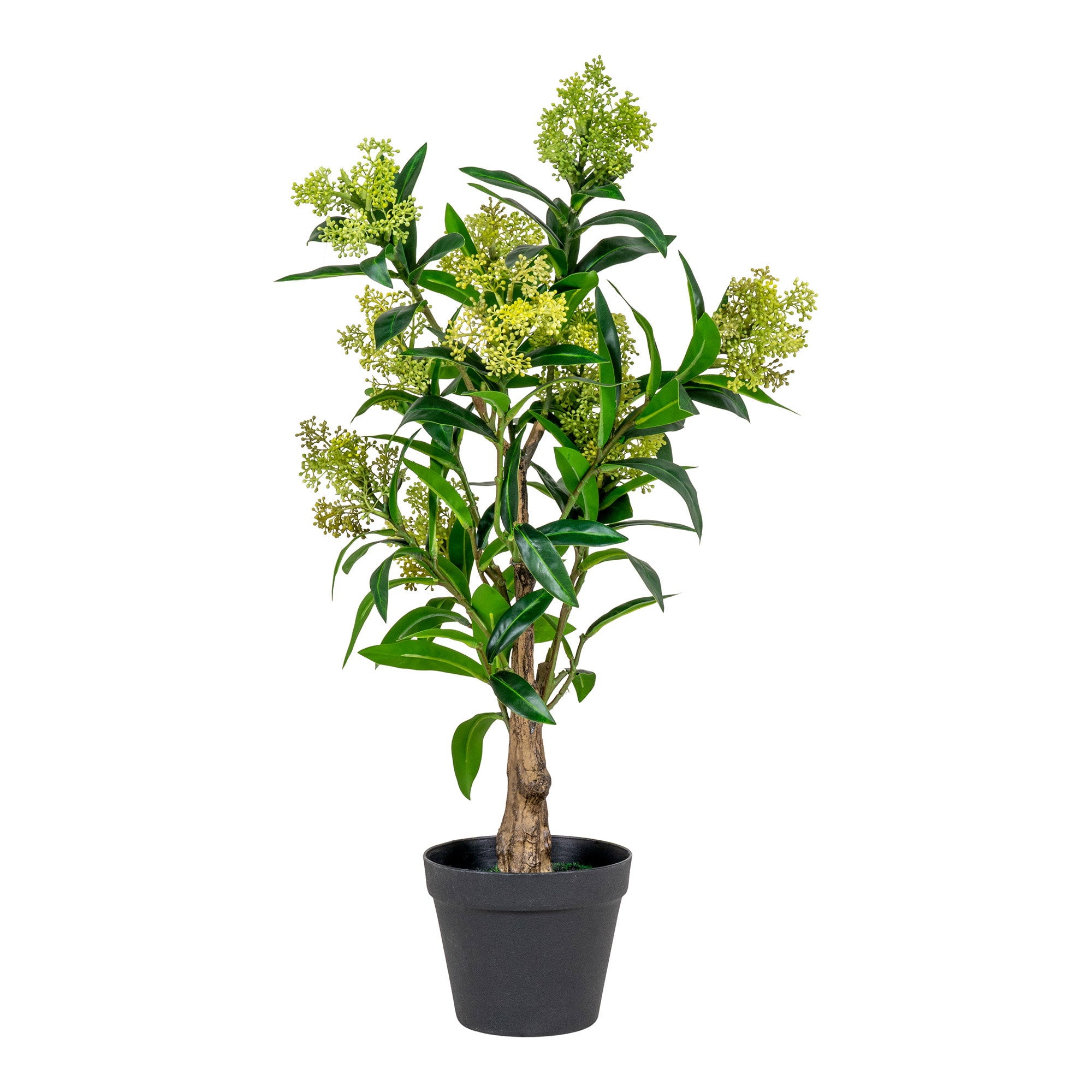 Lina Skimmia Kunstplant – Groen (75 cm)