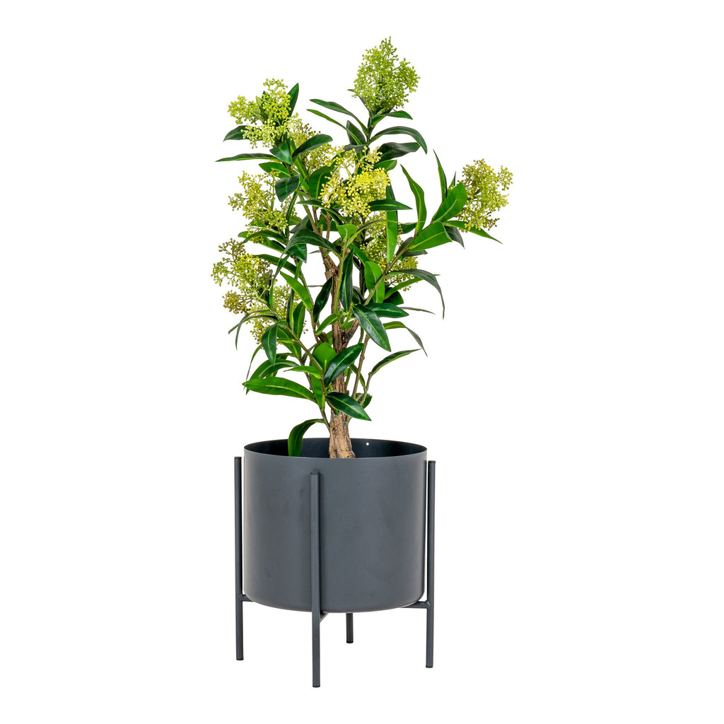 Lina Skimmia Kunstplant – Groen (75 cm)