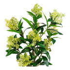 Lina Skimmia Kunstplant – Groen (75 cm)