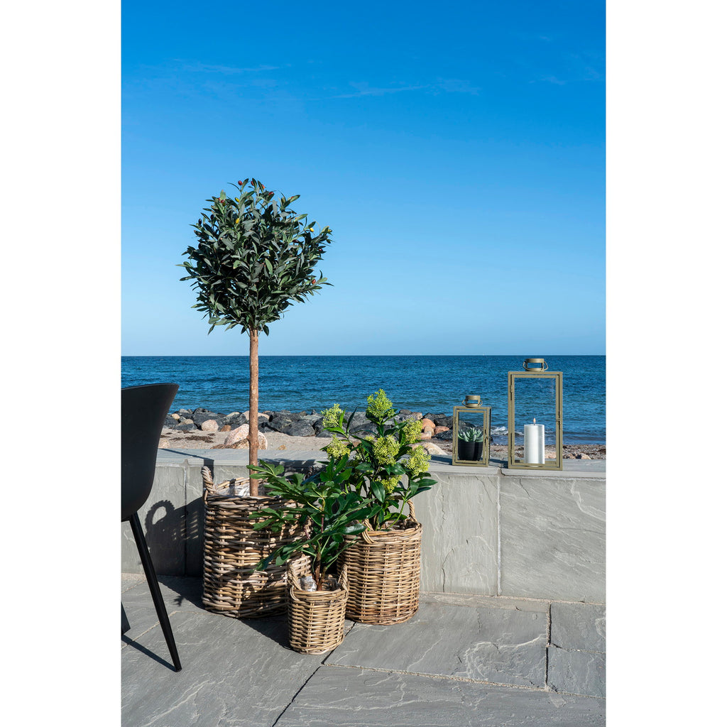 Lina Skimmia Kunstplant – Groen (75 cm)