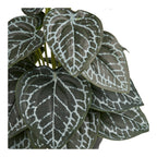 Lina Groene Kamerplant Kunstplant – Groen (33 cm)