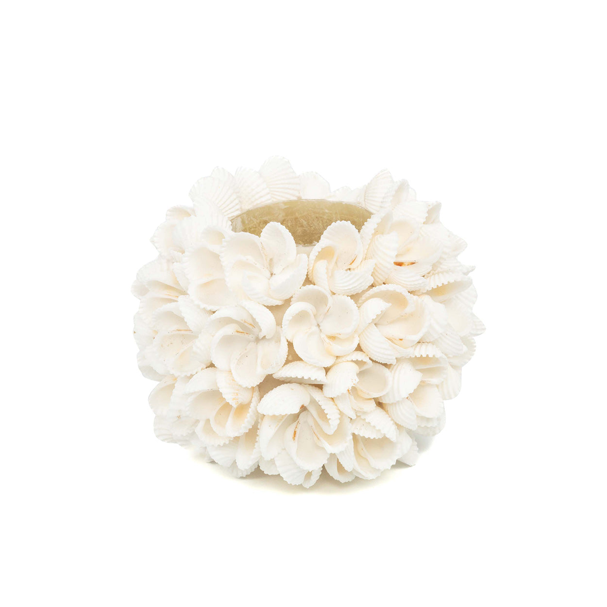 Lina Kandelaar – Flora (M)